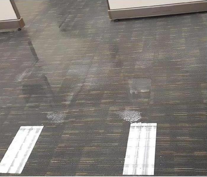 Wet carpet in office building